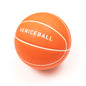 Veniceball Basketball