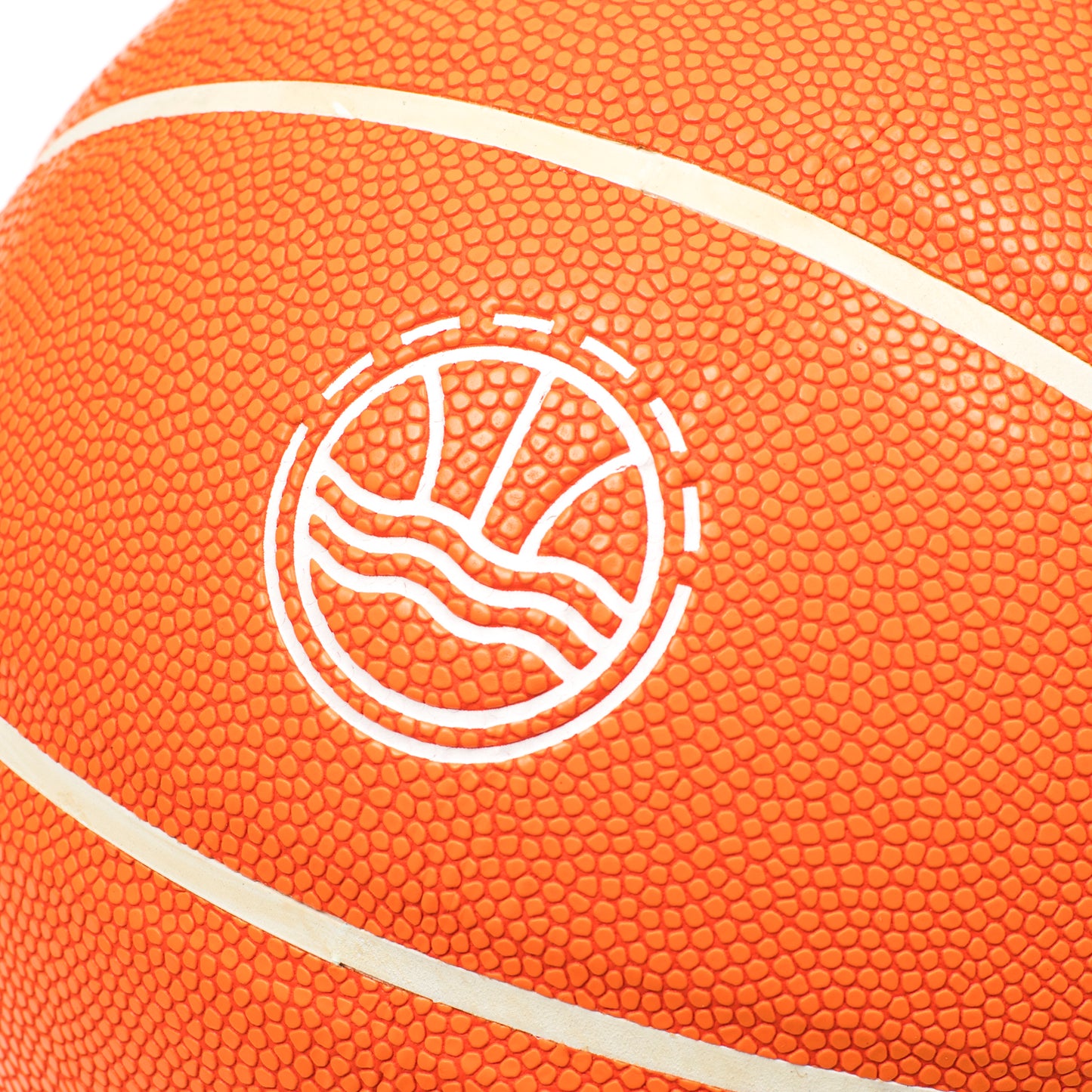 Veniceball Basketball